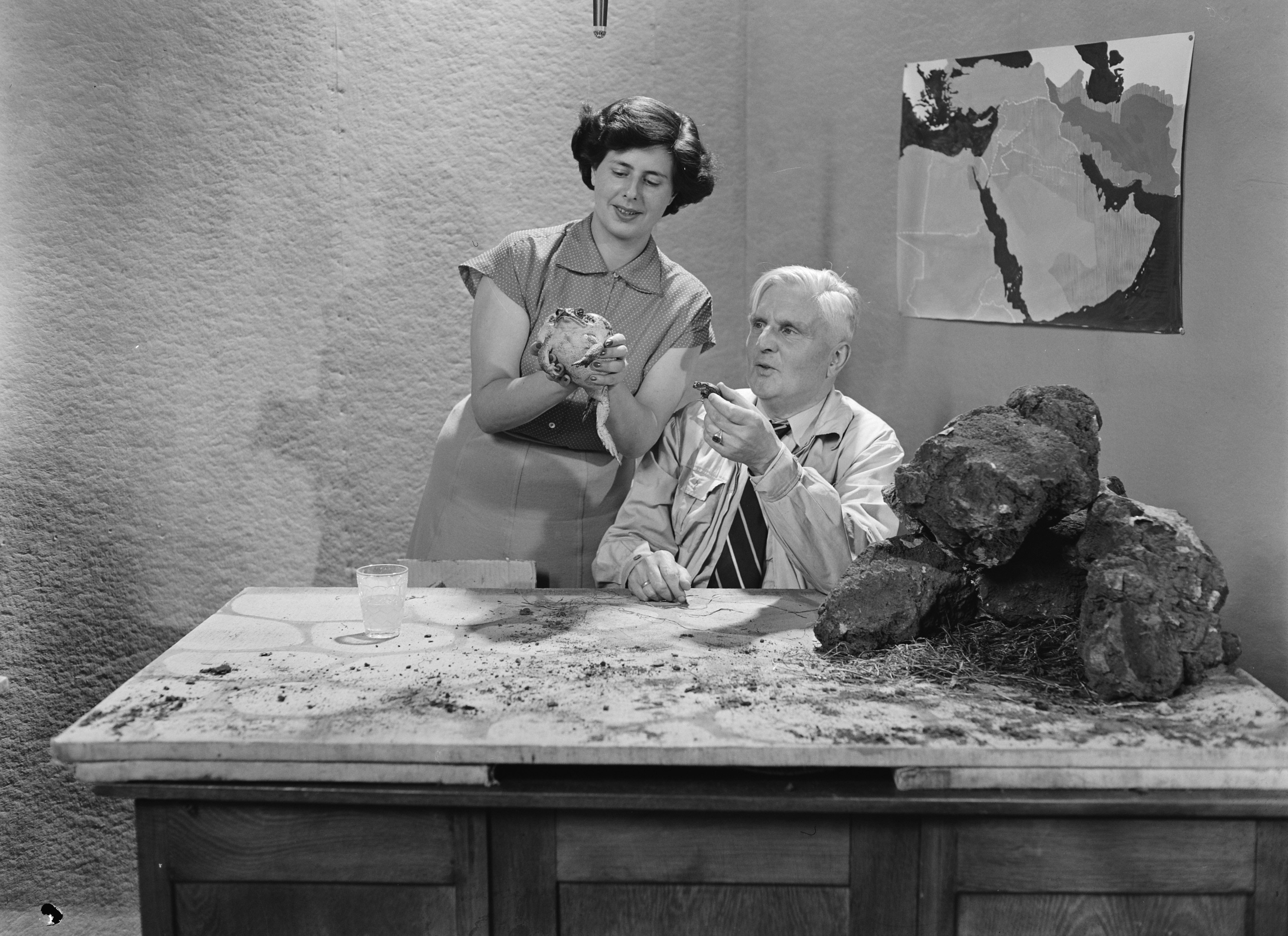 Netty Rosenfeld bij de eerste AVRO-televisie-uitzending in 1951